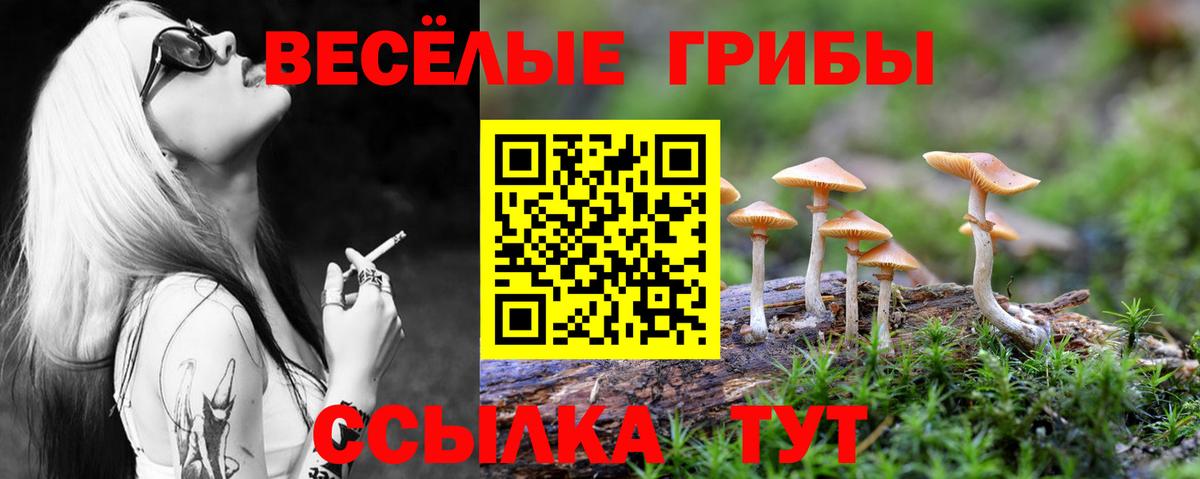 Галлюциногенные грибы прущие грибы Нижневартовск